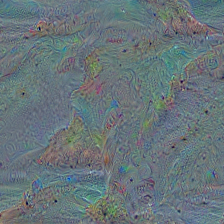 n09428293
